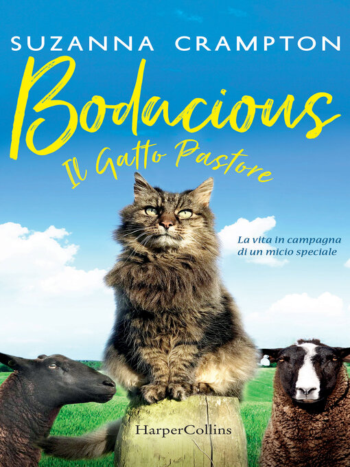 Title details for Bodacious--Il gatto pastore by Suzanna Crampton - Available